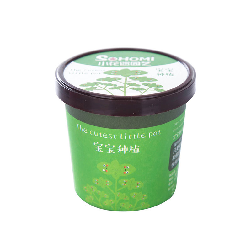 علبة زراعة صغيرة للاطفال مع بذور النعناع - غير قابلة للأكل-KR110073