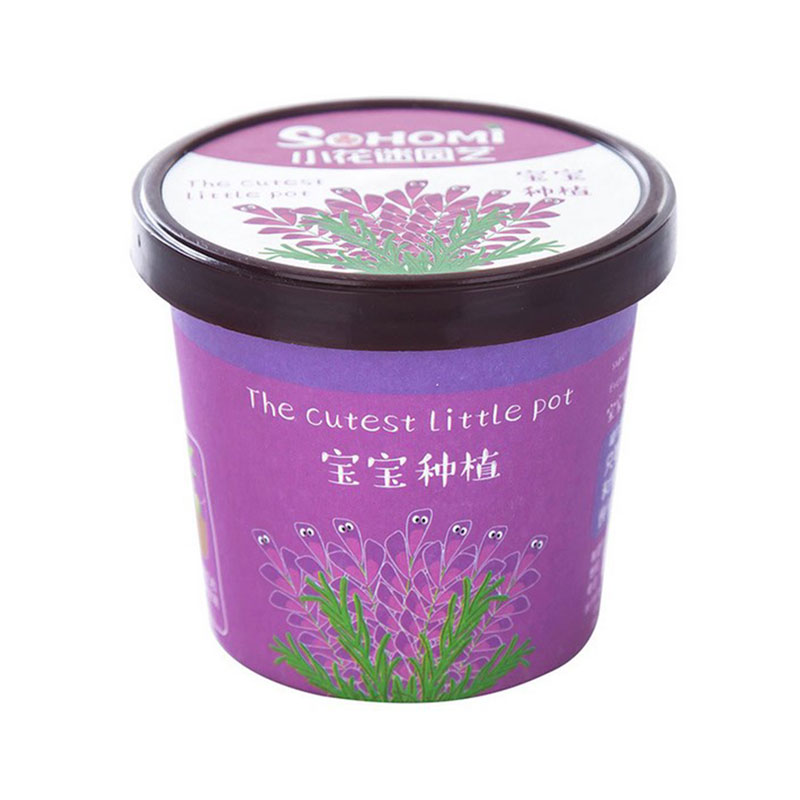 علبة زراعة صغيرة للاطفال مع بذور الافندر - غير قابلة للأكل-KR110071