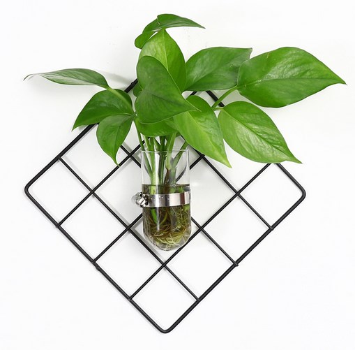 فازة حديدية مع فتحة زجاجية للنباتات الطبيعية للتعليق على الحائط-KR130218