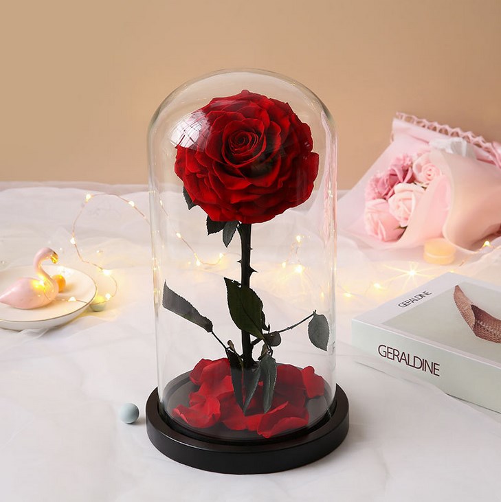 Gift big red rose in glass