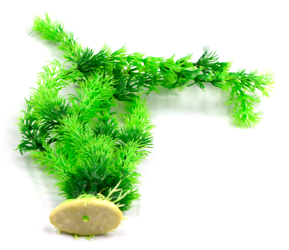 AQUARIUM GRASS C SERIES GRN-GRASS C-2