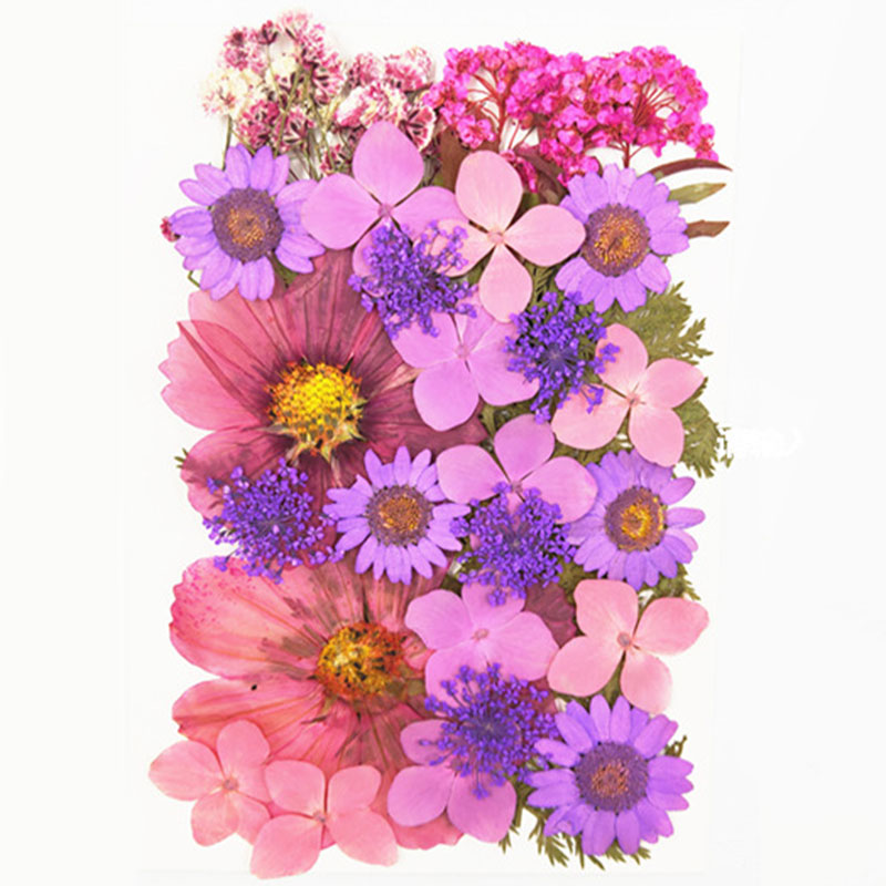 نباتات و زهور مجففة و مضغوطة بعناية لاشغال الريزن G-286-AR010249