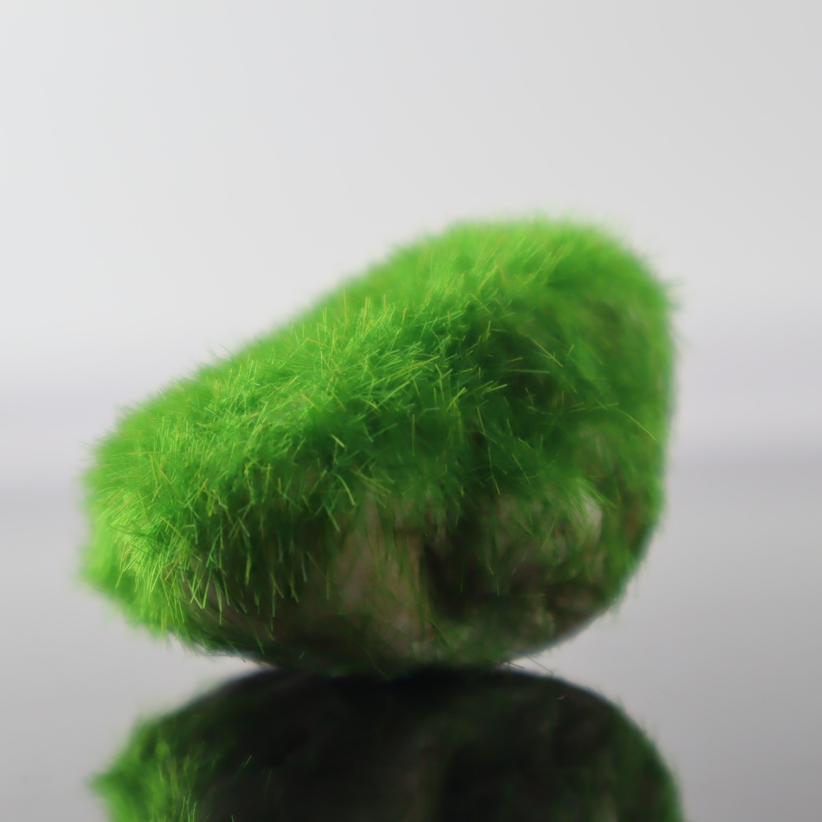 حجر اخضر صناعي لاحواض اسماك الزينة و التيراريوم J-538