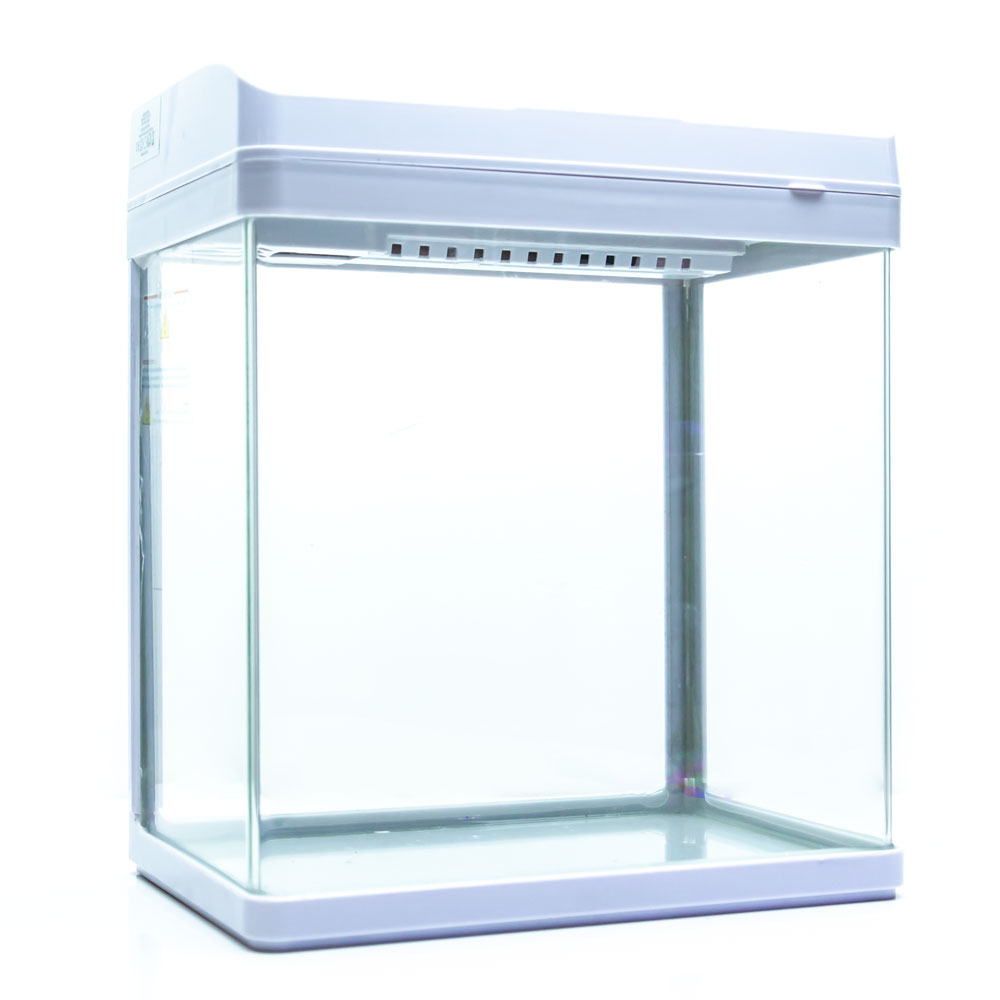 Aquarium fish tanka with filter and light white color pf-235