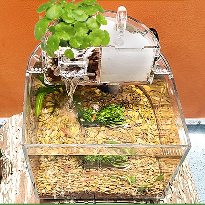 حوض سمك صغير شفاف مع فلتر بيولوجي G-116-KR012346