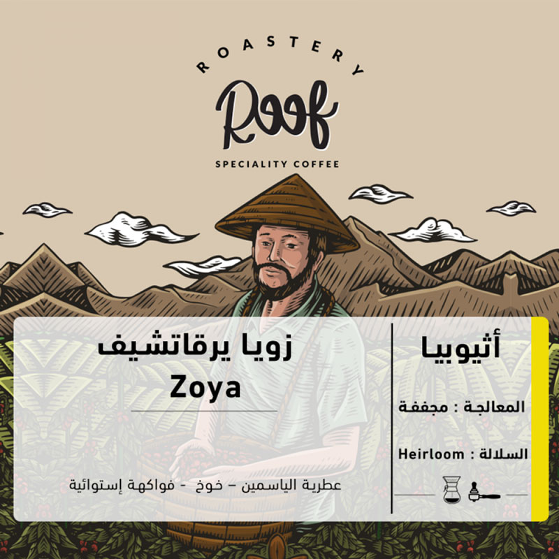 زويا يرقاتشيف - أثيوبيا من محمصة رووف 250 جرام-KR012581