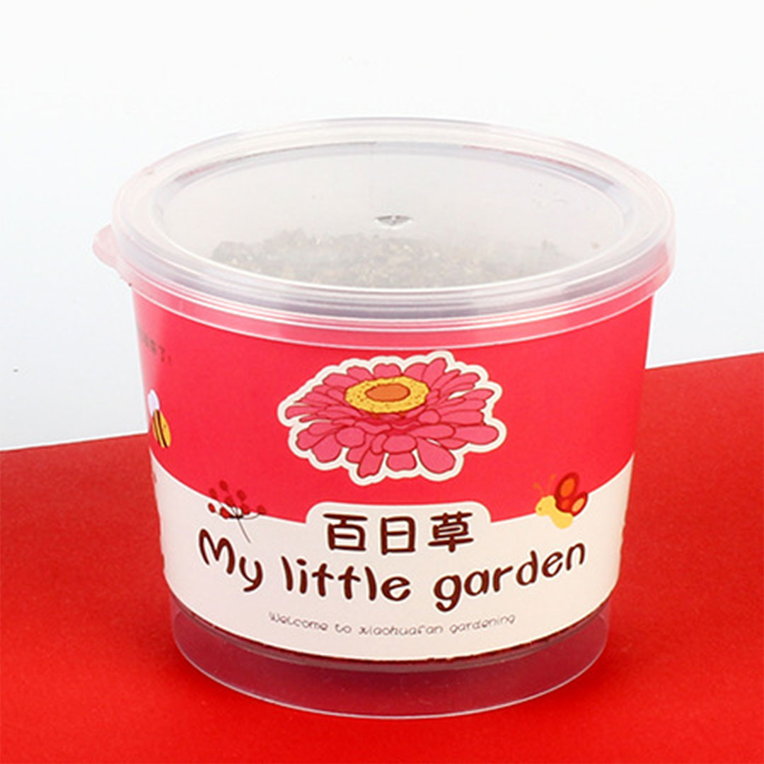 Mini plant pot red flower H-443