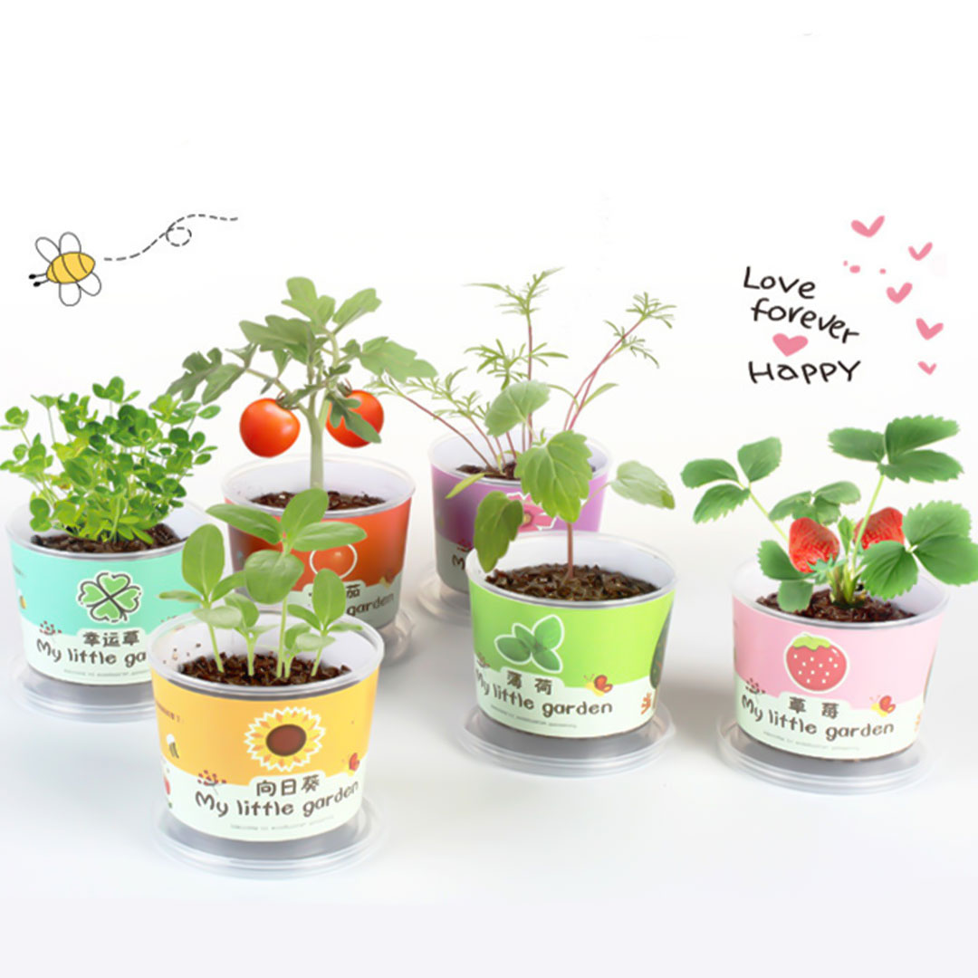 Mini plant flowe multi-shape