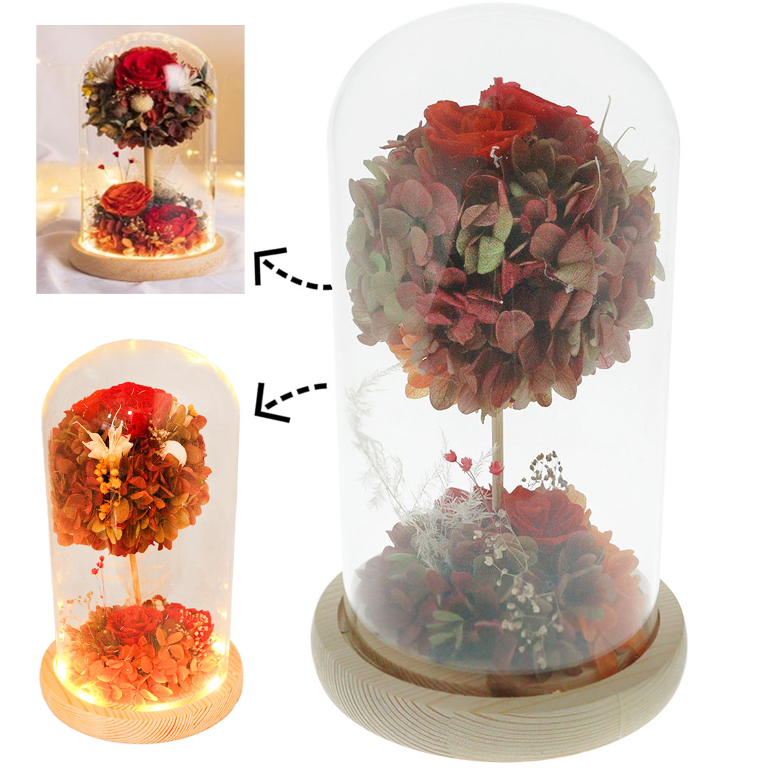 Gift real preserved roses in glass pot H-1056