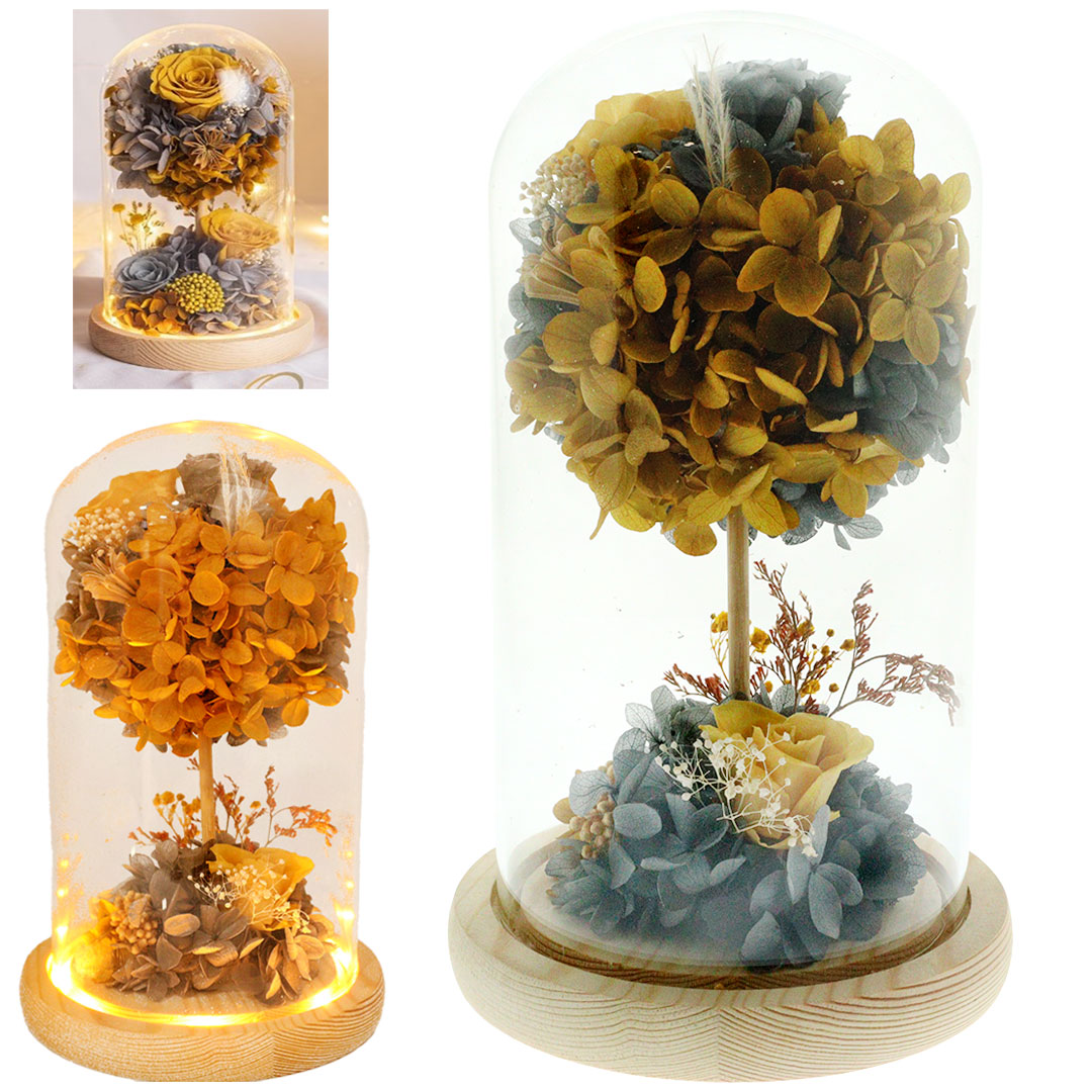 Gift real preserved roses in glass pot H-1057