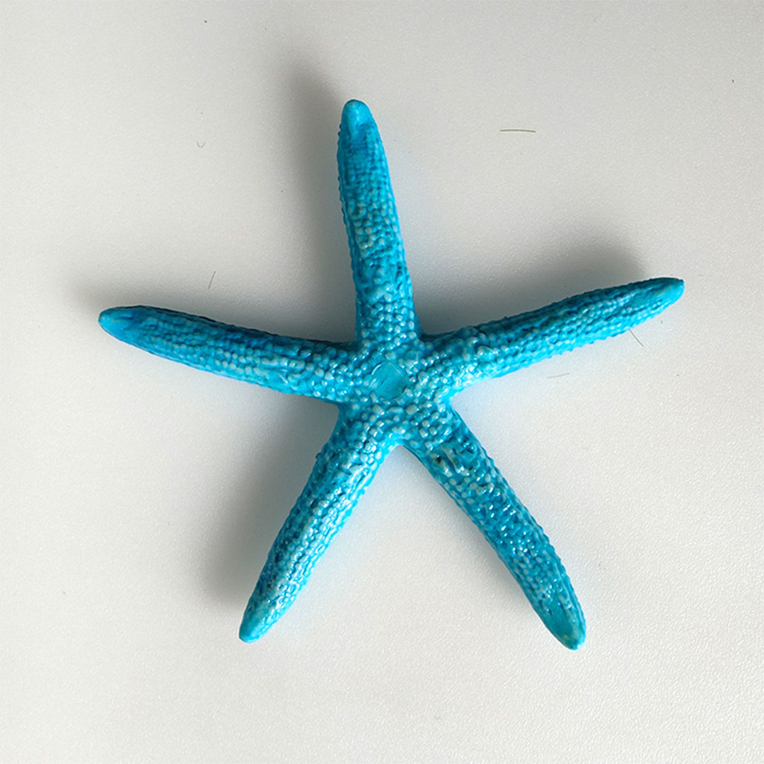 ديكور حوض اسماك صغير على شكل نجمة بحر لون ازرق