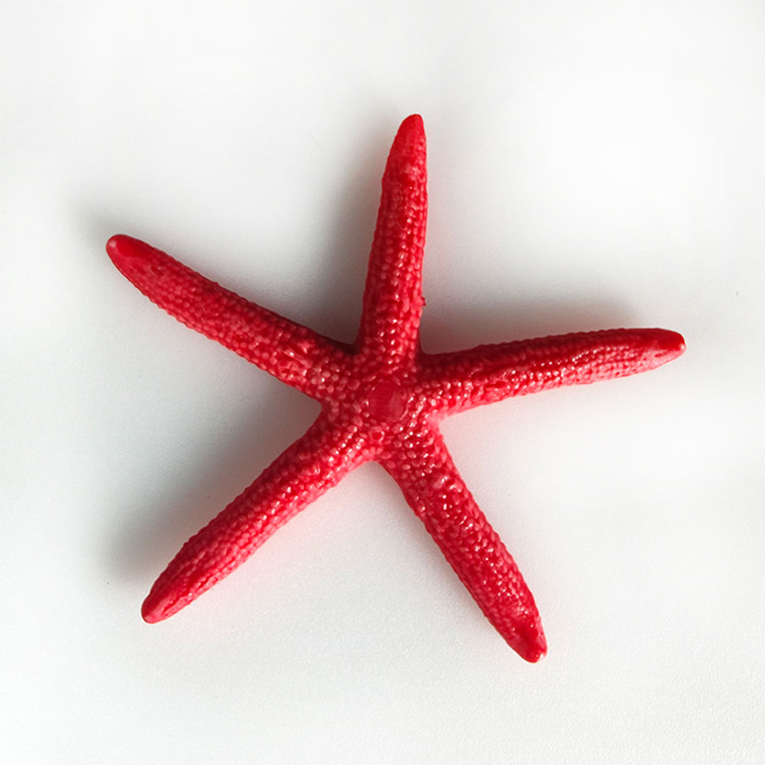 ديكور حوض اسماك صغير على شكل نجمة بحر لون احمر