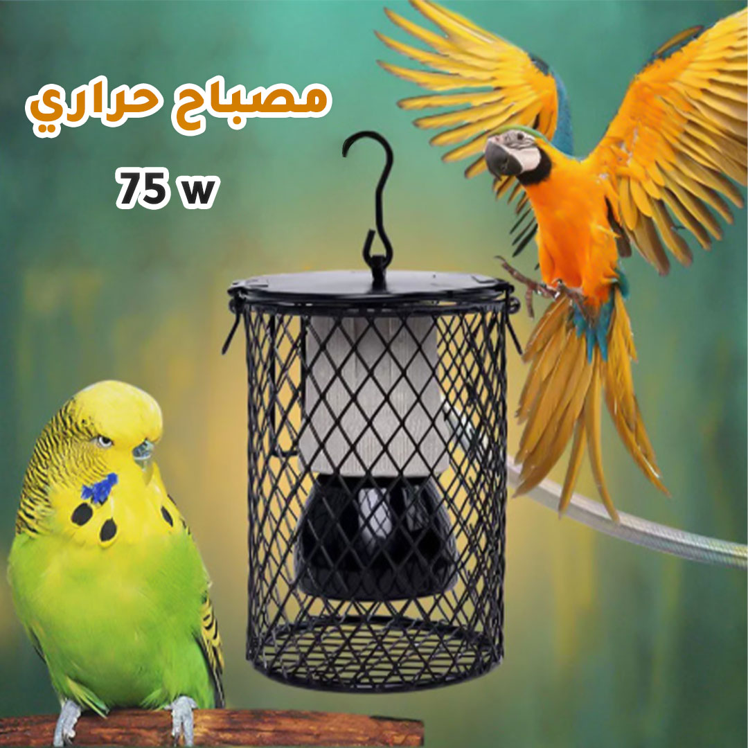 Birds Heater lamp 75W H-1580