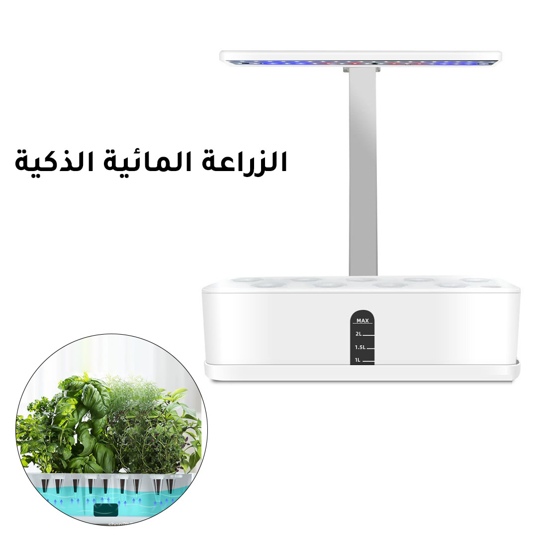 Hydroponic small planting system H-1798