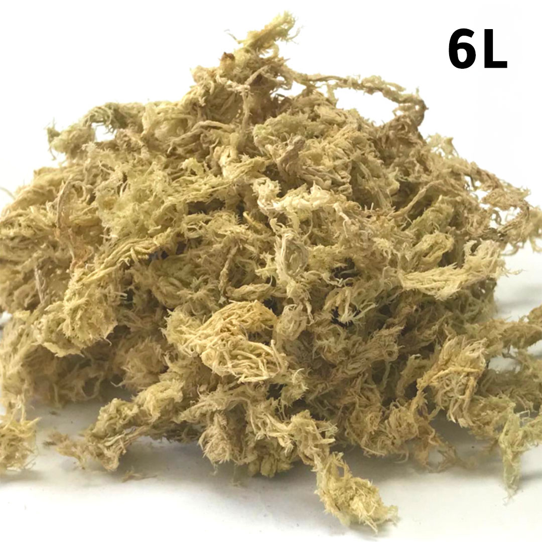 Natural dried moss  6L