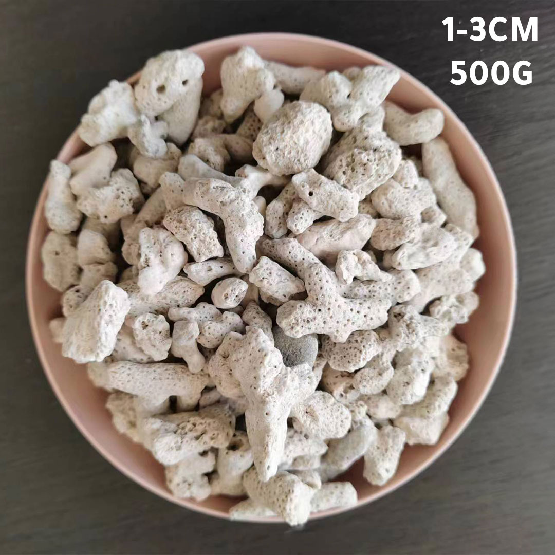 Natural coral stone 1-3cm 500G