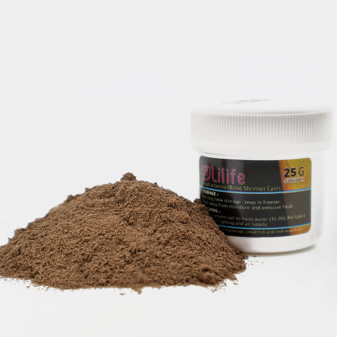 Aquarium hatchable artemia cysts brine shrimp small eggs 25G lilife