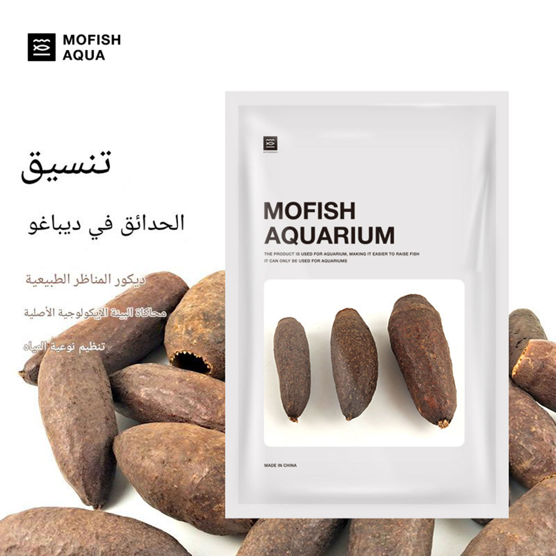 Aquarium terrarium landscaping natural Diba Fruit Pods 3pcs K-2961