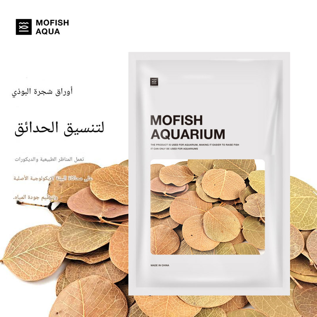 Aquarium terrarium landscaping natural Moneta leaves K-2963
