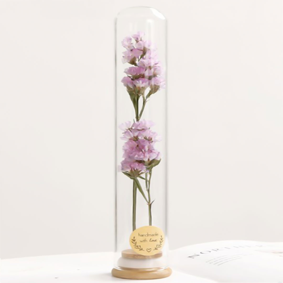 Gift dried plant in glass e-360b
