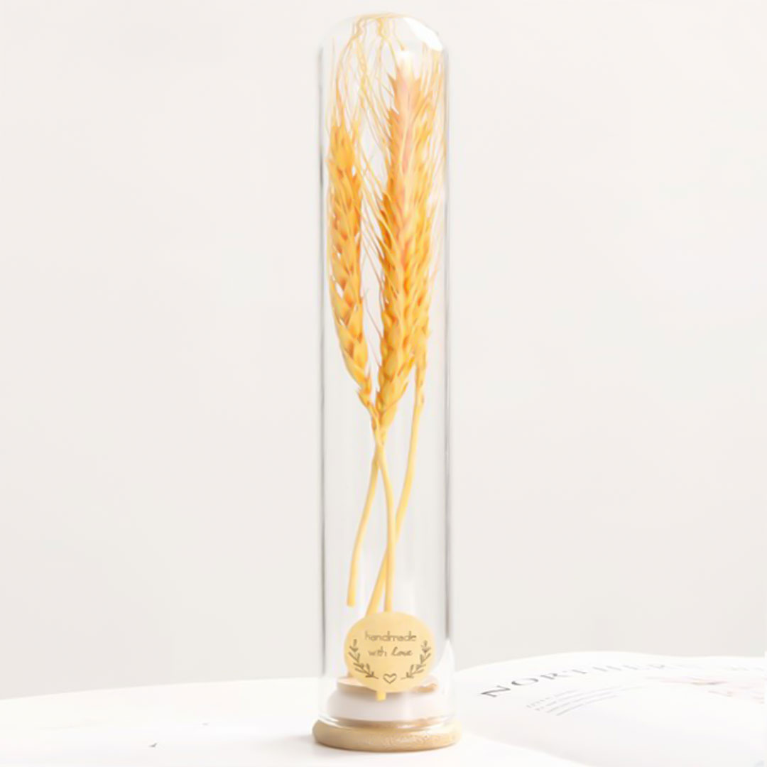 Gift dried plant in glass e-360c-KR070164