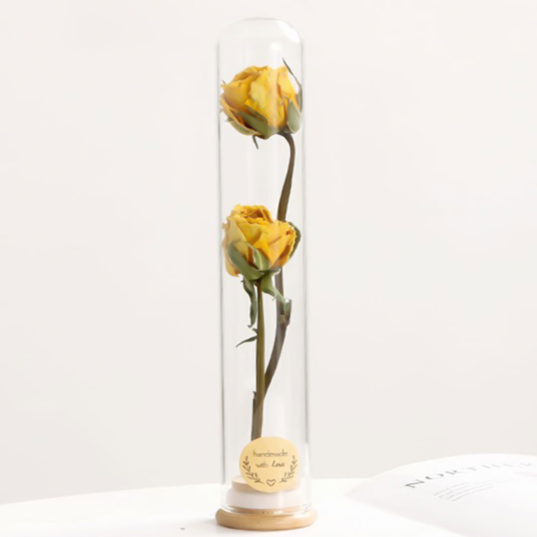 Gift dried plant in glass e-361a