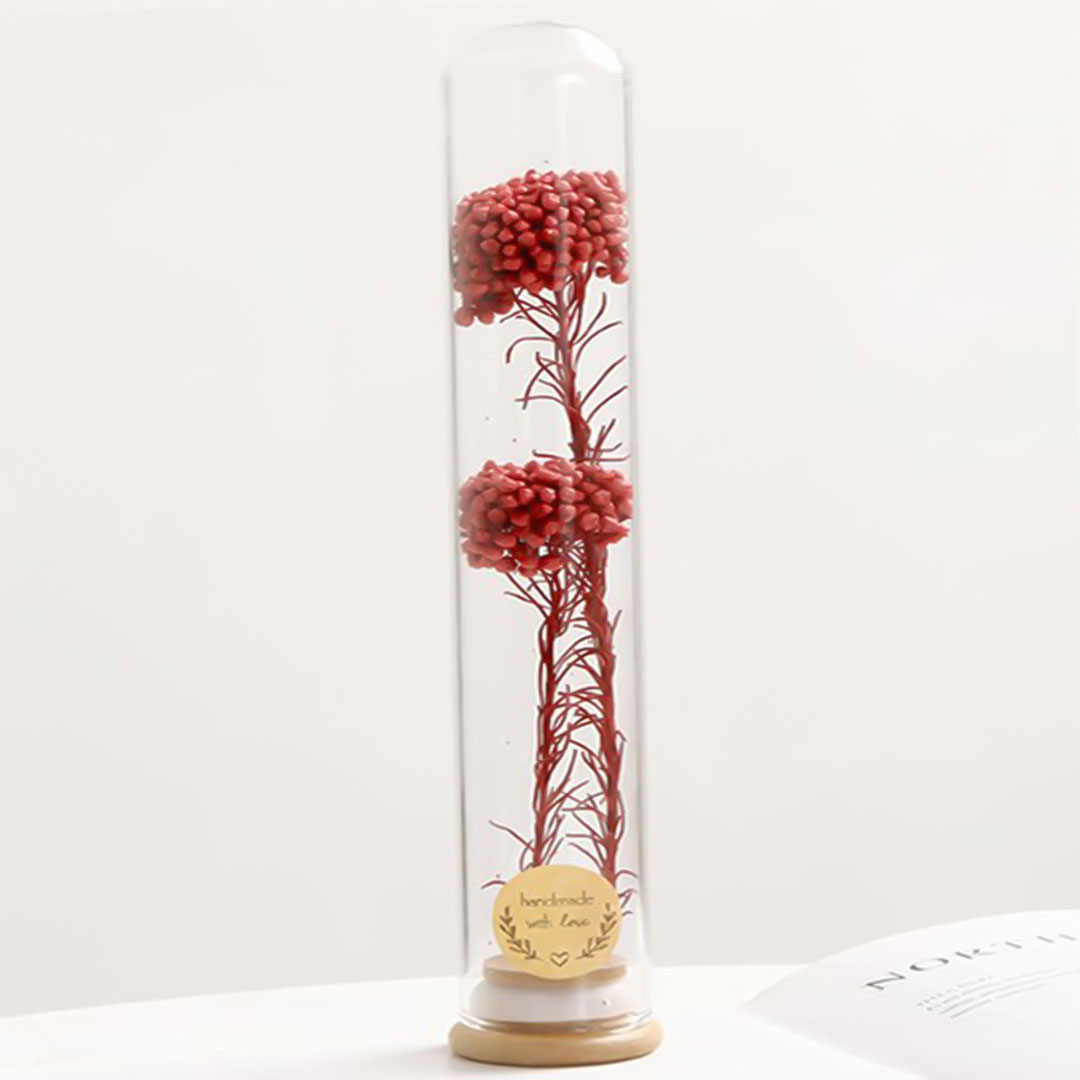 Gift dried plant in glass e-361c