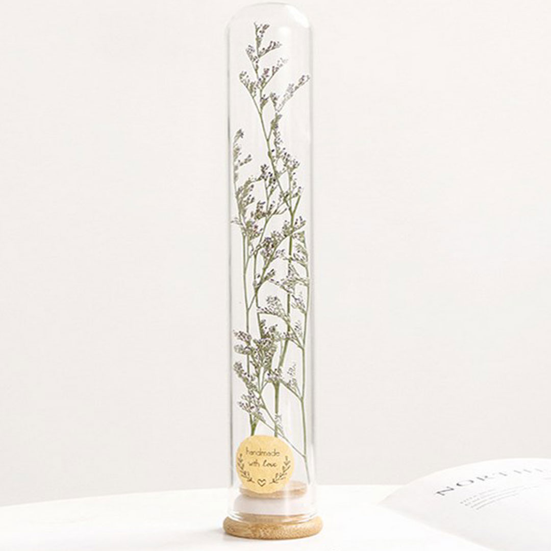 Gift dried plant in glass e-362a