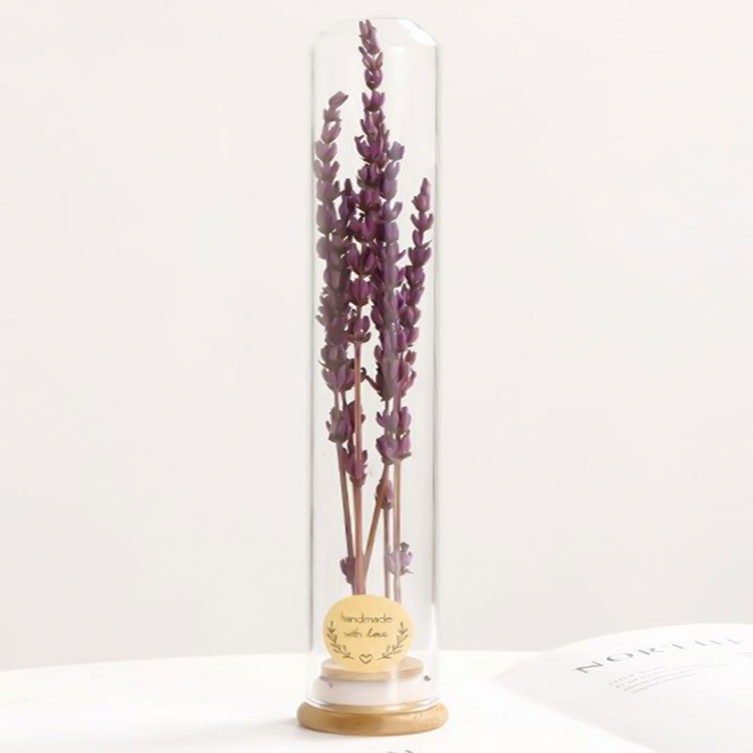 Gift dried plant in glass e-362b
