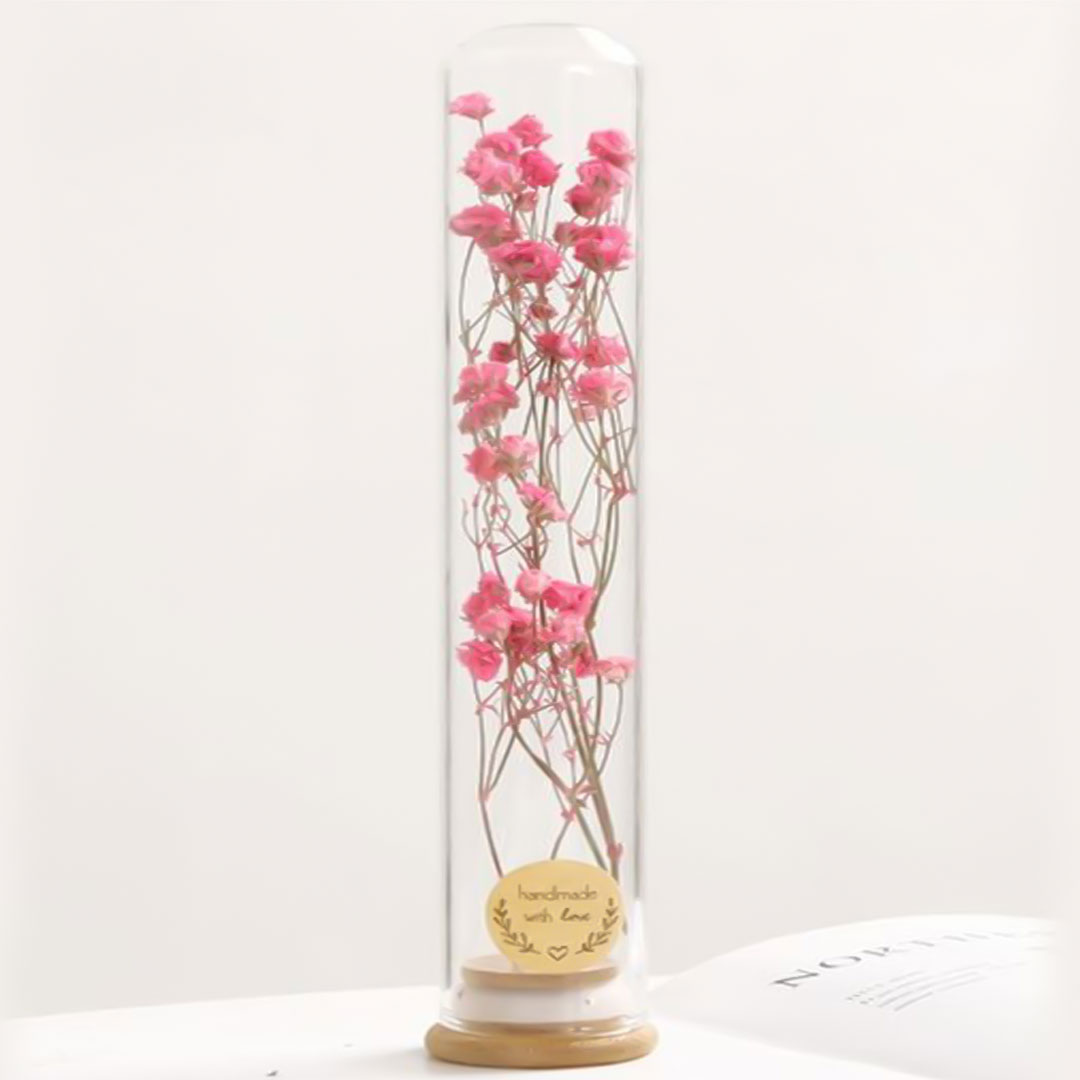 Gift dried plant in glass e-362c