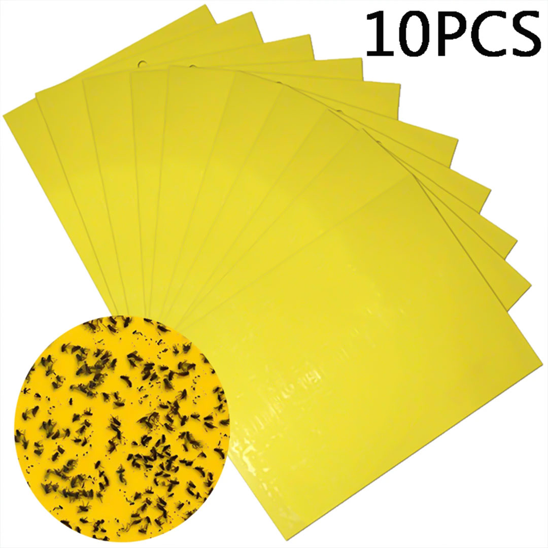 Fly yellow sticky paper for ivlife fly trap