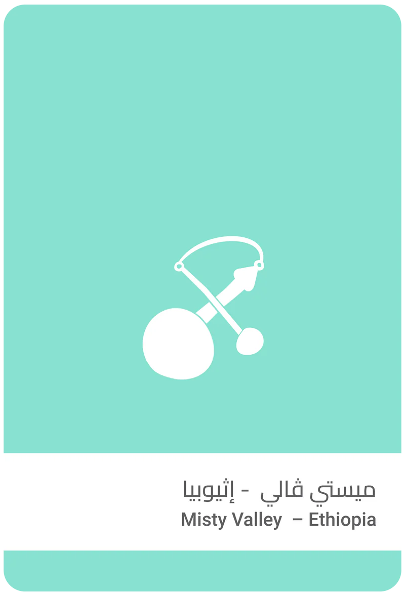 قهوه ميستي ڤالي - إثيوبيا من سلالات القهوة 250 جرام