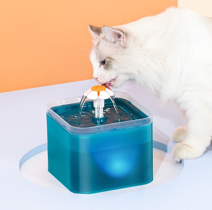 Pets drinking fountain with filter