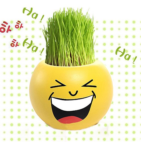 Toy grass smiley head e-231