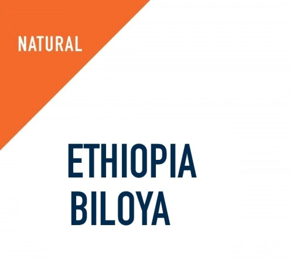 COFFEE BEAN IDMI ETHIOPIA YIRGACHEFE BILOYA 250G